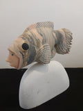 Peixe com cara de pessoa